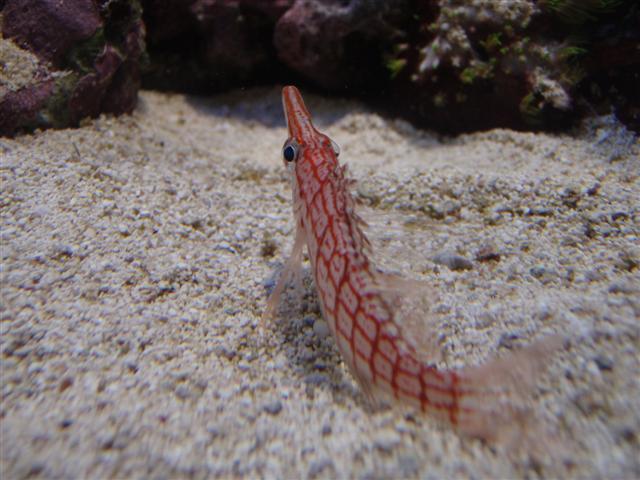 P8271738 (Small).JPG