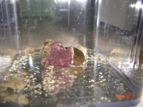 CIMG2825 (Small).JPG