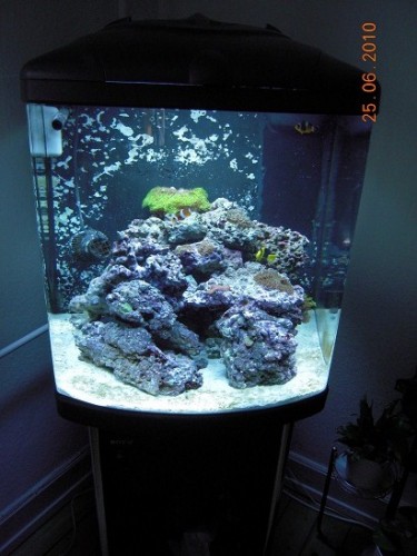 DSCN1060.JPG