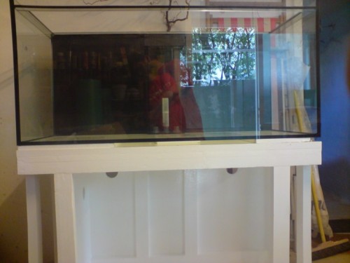 DSC01331 [DVD (PAL)].jpg