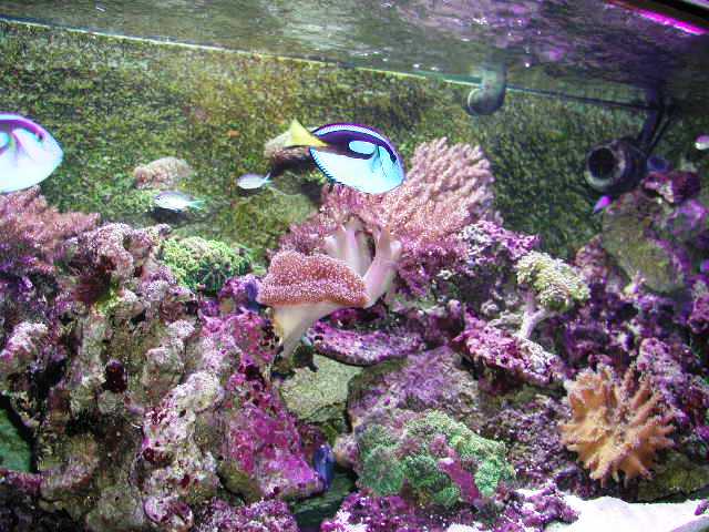 P1010012.JPG