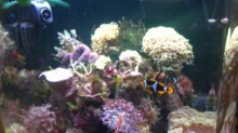 09072010208.JPG