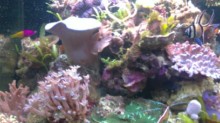 09072010201.JPG