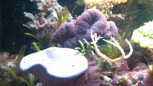 09072010204.JPG