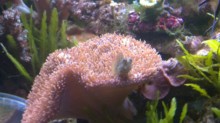 23042010077.JPG