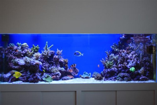 Fullshot (Small).JPG