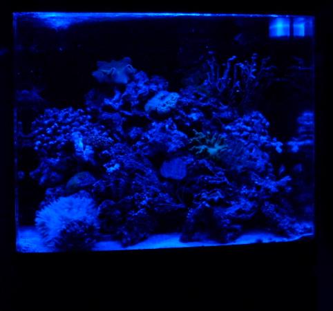 Taget halv fire i nat