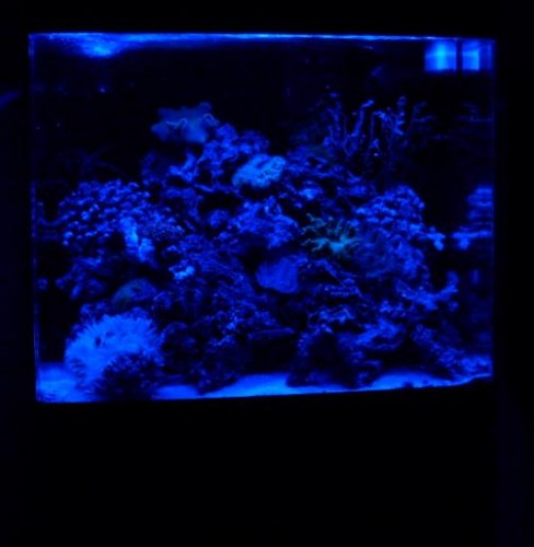 Taget halv fire i nat