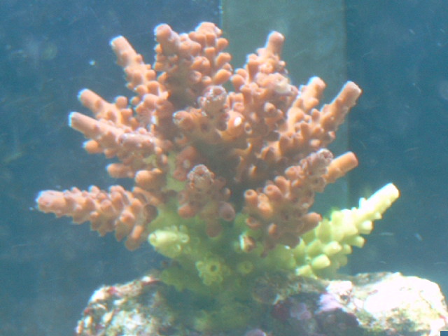 M4111728.JPG