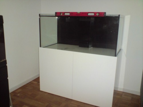 DSC01368 [DVD (PAL)].JPG