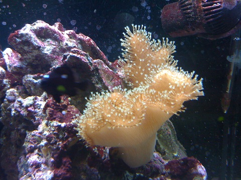 IMG_0058.JPG