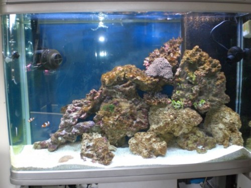 CIMG2567 [640x480].JPG