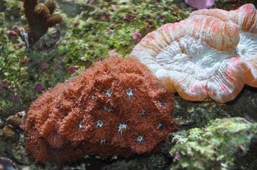 DSC_0069.JPG