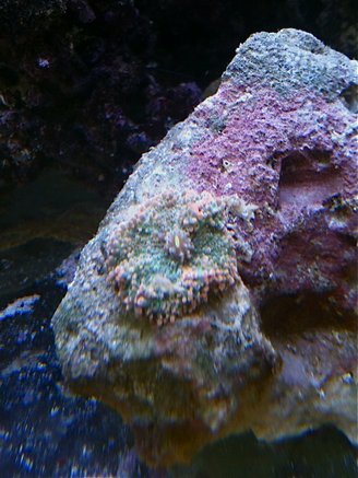 328_foto-13.jpg