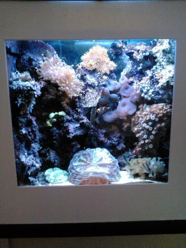IMG025.jpg