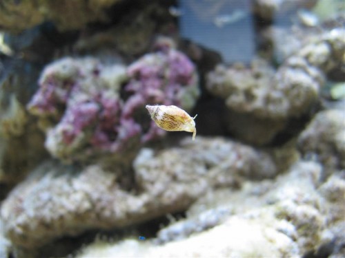 IMG_0085 (Medium).JPG