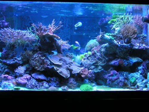 PICT0074.JPG