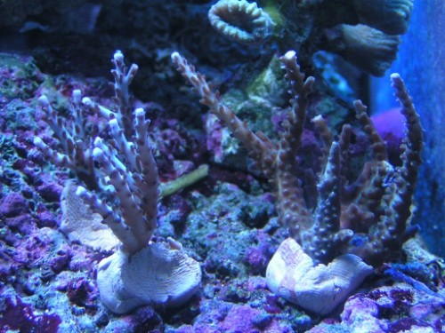 PICT0084.JPG