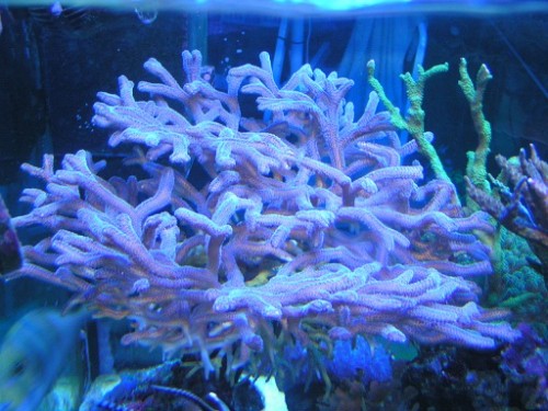 PICT0105.JPG