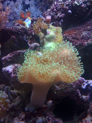 IMG_0046.JPG