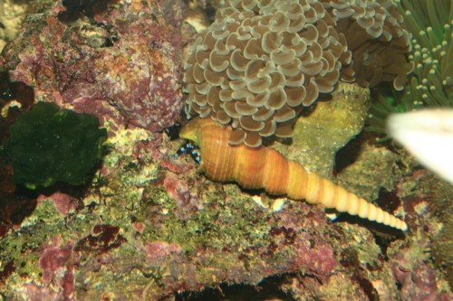 IMG_4220 (Medium).JPG