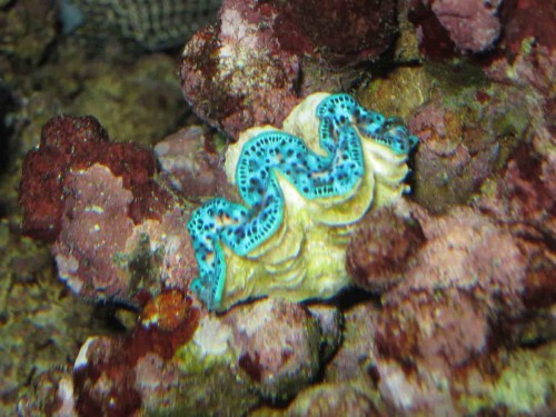 IMG_0526_v2_1.jpg
