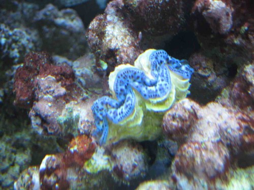 IMG_0527_v2_1.jpg