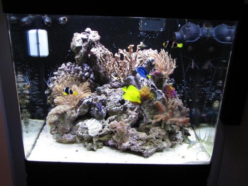 1 (9) (Medium).JPG