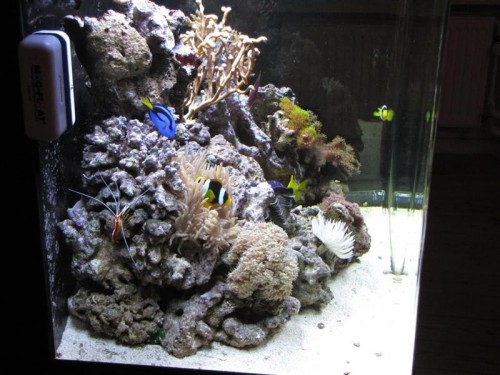 1 (16) (Medium).JPG