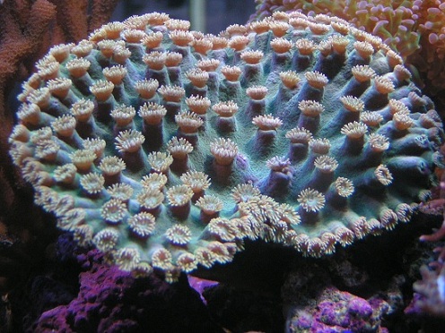 PICT0327.JPG