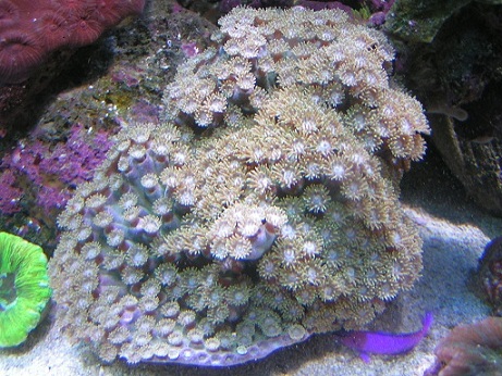 PICT0330.JPG