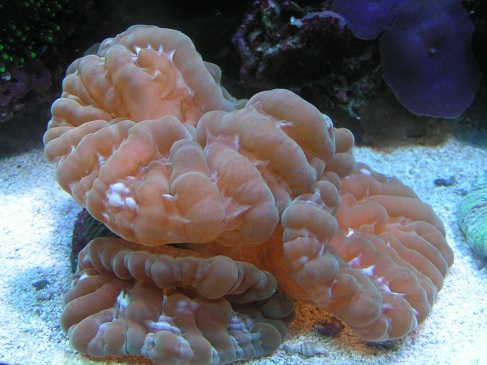 PICT0334.JPG