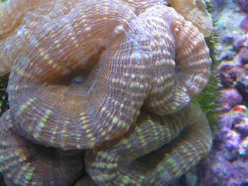 PICT0352.JPG
