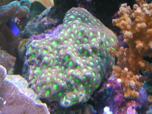 PICT0355.JPG