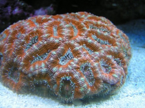 PICT0371.JPG