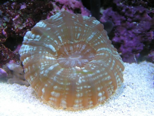 PICT0378.JPG