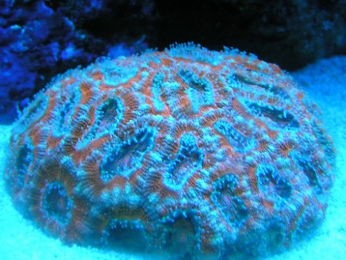 PICT0401.JPG