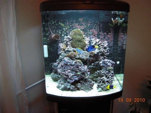 DSCN1359.JPG