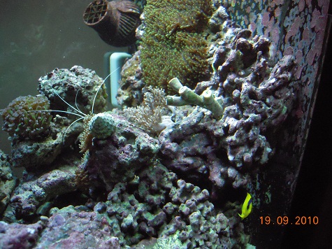 DSCN1373.JPG