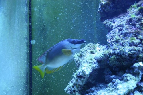 IMG_4963_small.JPG