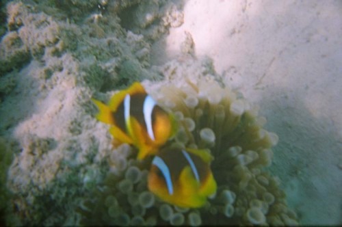 08330035.JPG