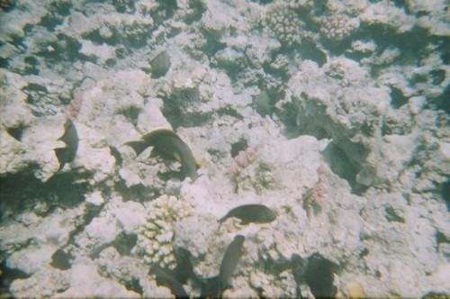 08340029.JPG