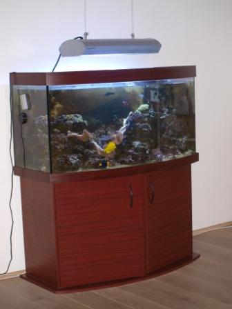 1 Gammelt akvarie.JPG
