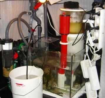 sump2.JPG