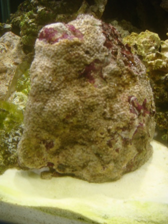 DSC00647.JPG