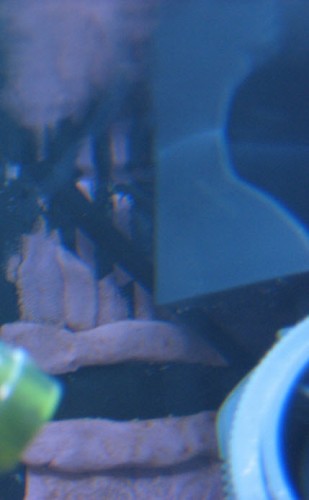 overløb.jpg (39.56 KiB) Vist 2769 gange Mit overløb som det ser ud i dag