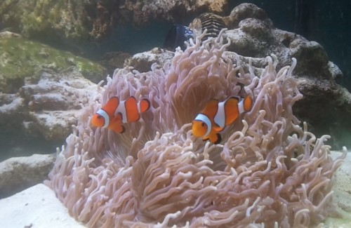 2010-10-21 15.19.25.jpg