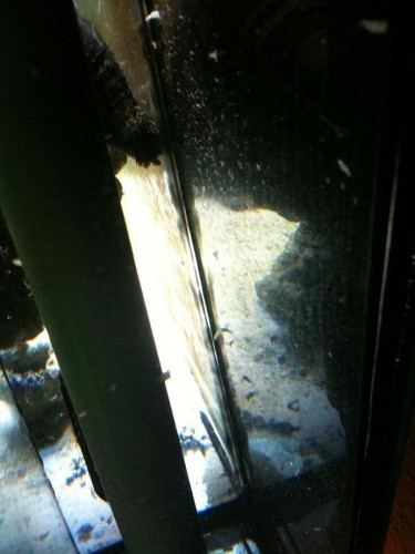 IMG_0238.JPG (77.1 KiB) Vist 2004 gange Hvide dimser?