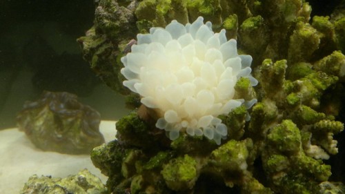 27102010098.jpg