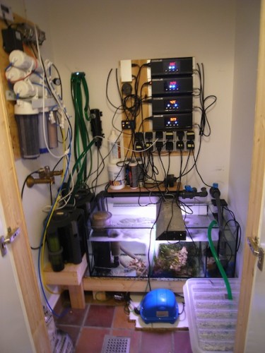 Teknikrummet er på ca. 3 kvm og er rigtig praktisk da alle de larmende pumper står herinde. Akvariet larmer derfor næsten ikke.